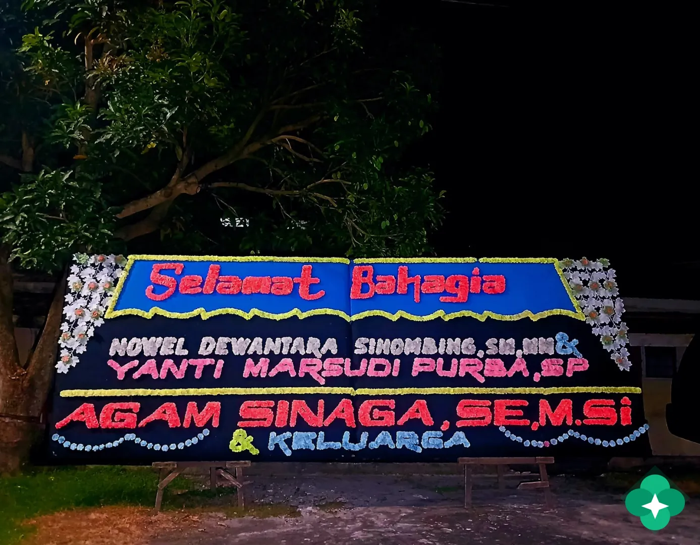 bunga medan kota